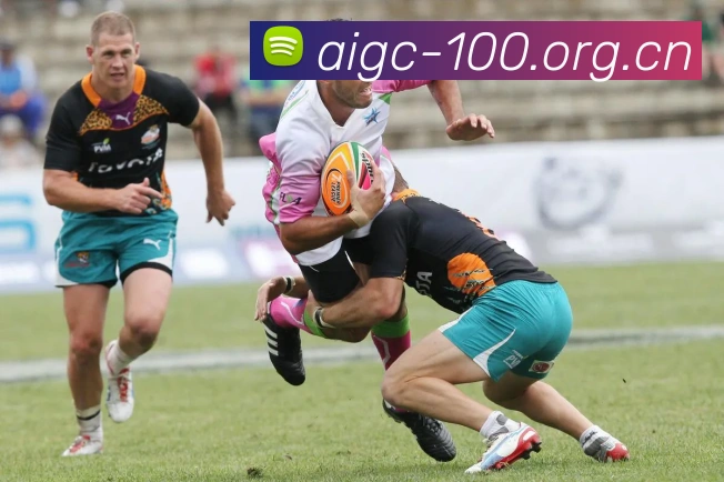 多媒体互动体验